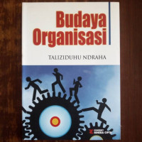 budaya organisasi