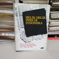 DELIK - DELIK PERS DI INDONESIA