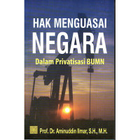 hak menguasai negara dalam privatisasi bumn
