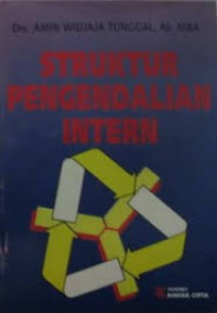 struktur pengendalian intern